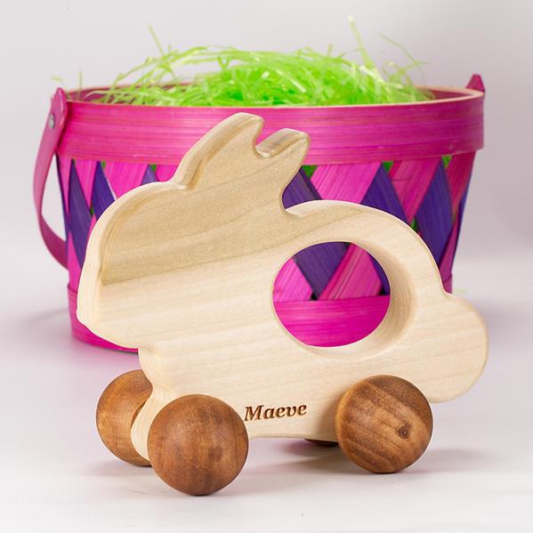 Bunny Push Toy
